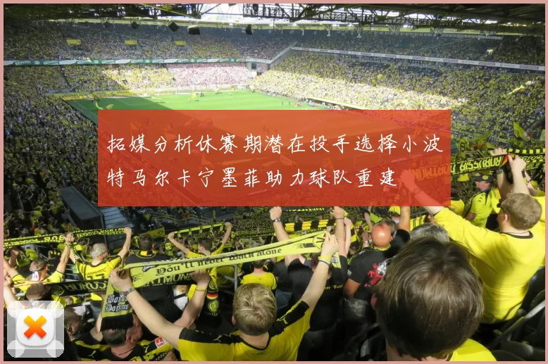 拓媒分析休赛期潜在投手选择小波特马尔卡宁墨菲助力球队重建