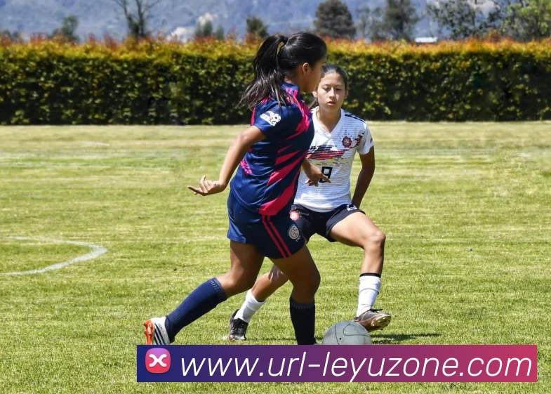 乐鱼体育品牌故事