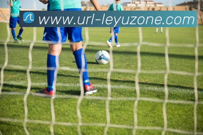 乐鱼体育服务体系